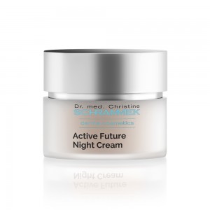 Ageless Future Night Cream 50ml (ipv Active Future)| Schrammek